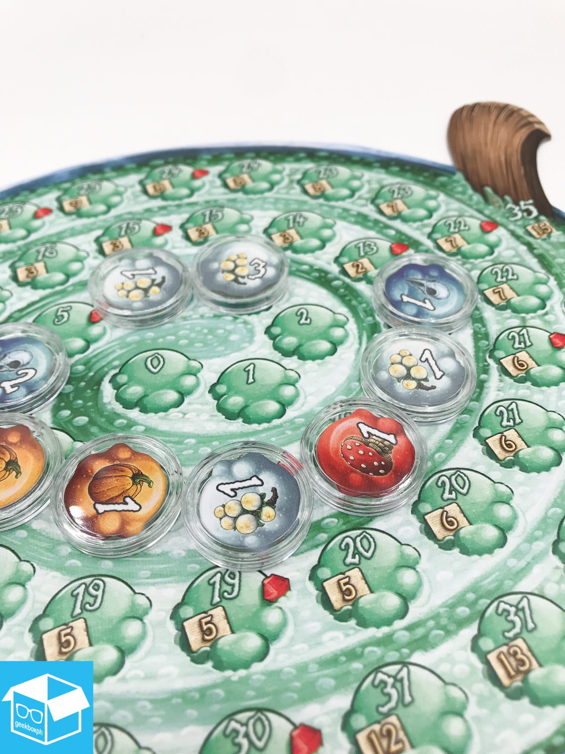The Quacks of Quedlinburg Token Protectors
